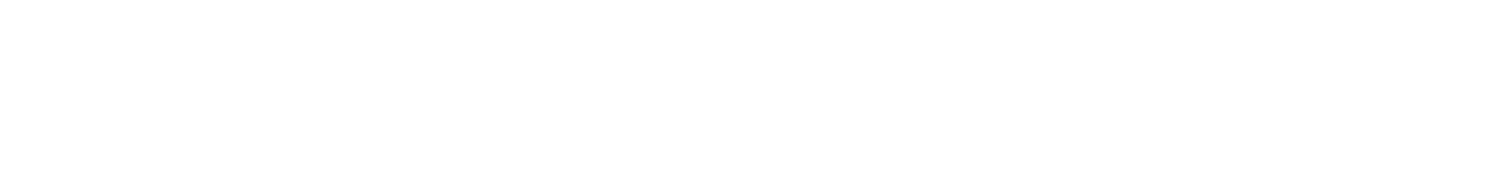 SaltSync Internet